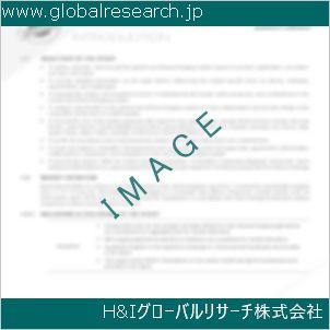 グローバルリサーチ調査資料のイメージ